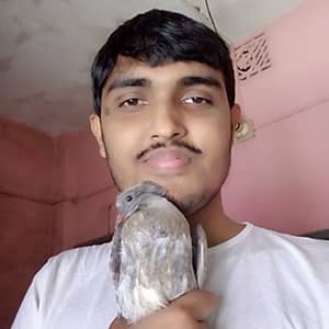 Kawkab Nadim | Any Cardinals