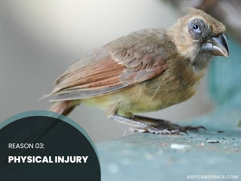 Physical Injury