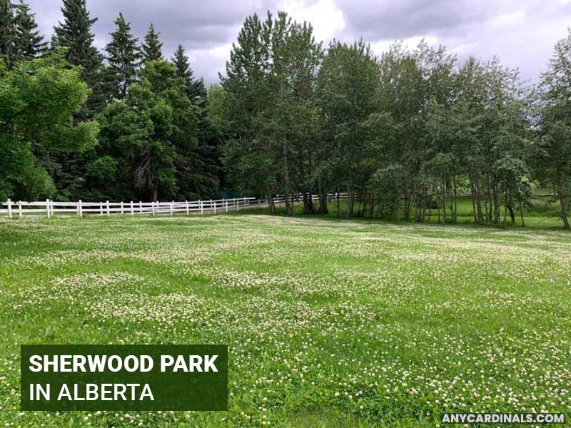 Where Are Cardinals Found In Alberta