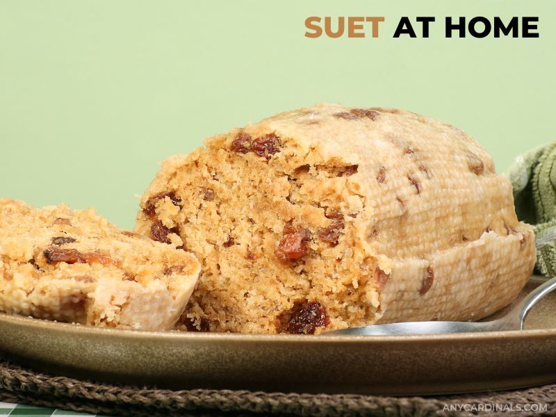 How To Make Suet At Home