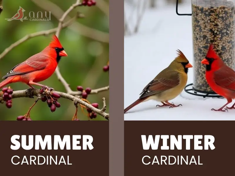 Adaptable Eaters_ Seasonal Shifts